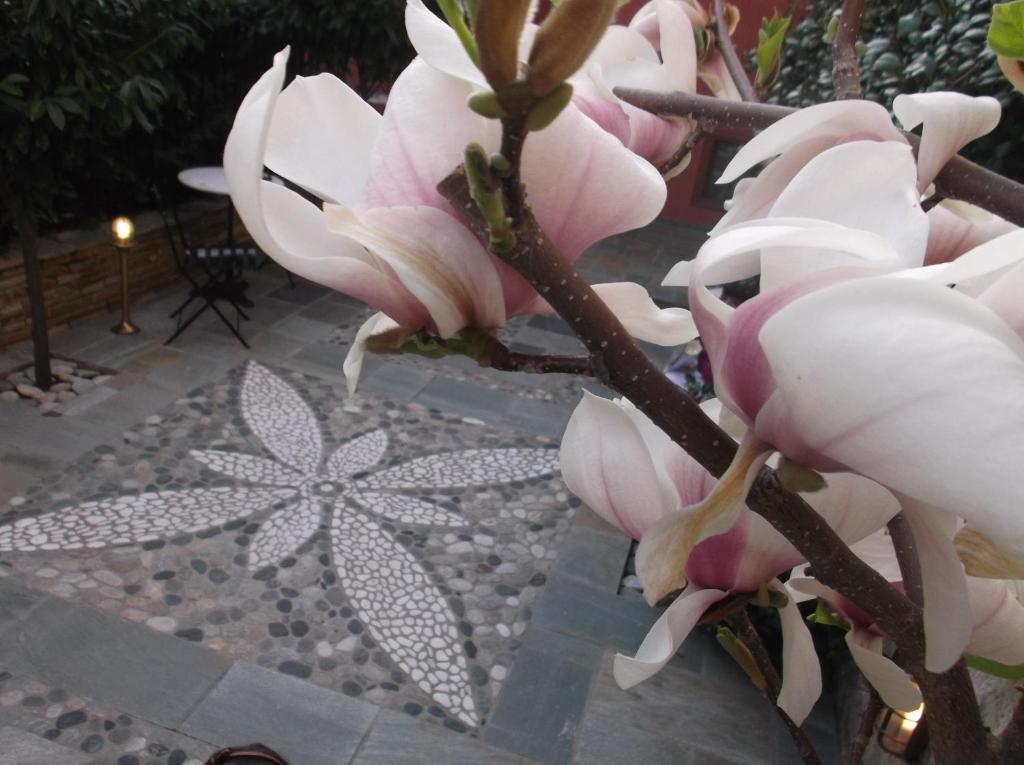 Boutique Hotel Kokkino Spiti Veria  Exterior foto